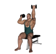 Shoulder Press - Seated Reverse Alternate